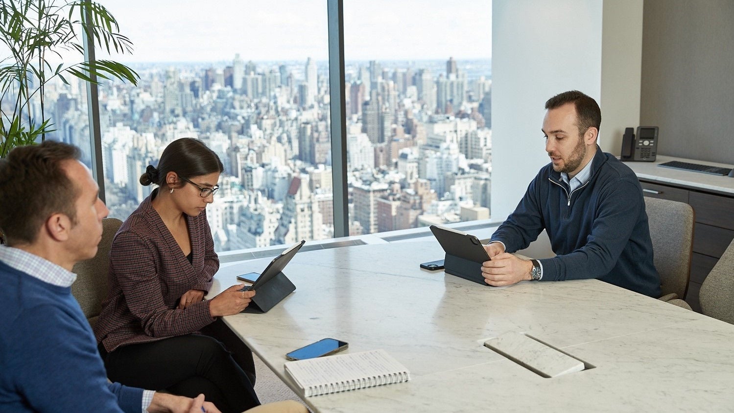 Colleagues working with a view of New York City